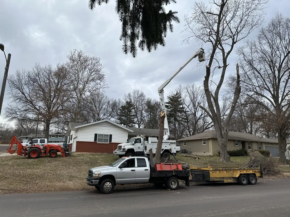Affordable lawn care service experts serving Mountain Grove, MO - All Around Affordable Tree and Lawn