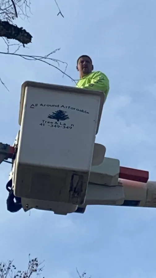 Local outdoor landscaping experts serving Mountain Grove, MO - All Around Affordable Tree and Lawn