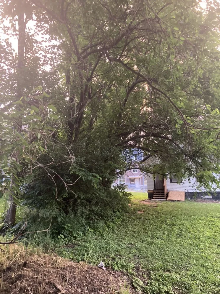 Top-rated landscape installation in Omaha, NE - All Around Brown