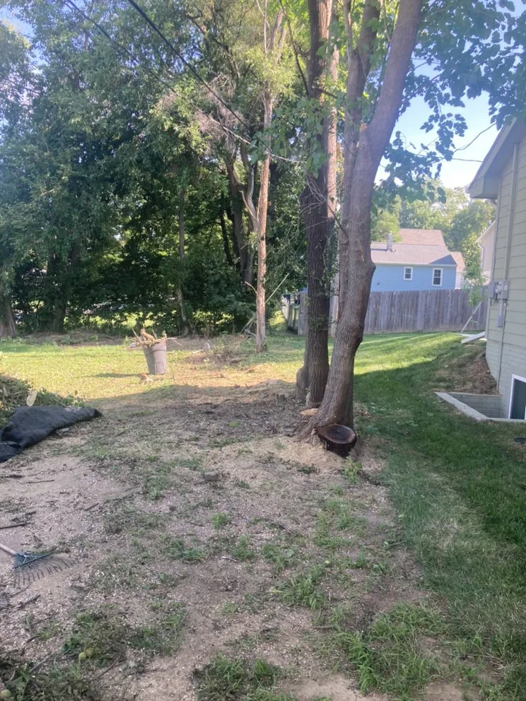 Local lawn care service in Omaha, NE - All Around Brown