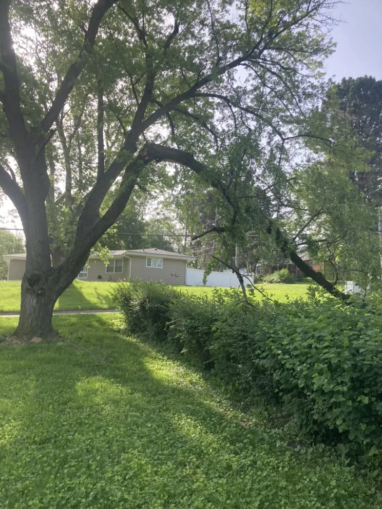 Reliable garden landscaping in Omaha, NE - All Around Brown