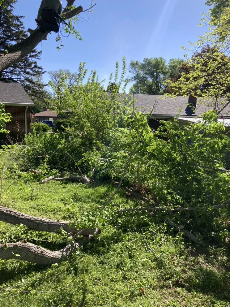 Affordable landscaping services near you in Omaha, NE by All Around Brown