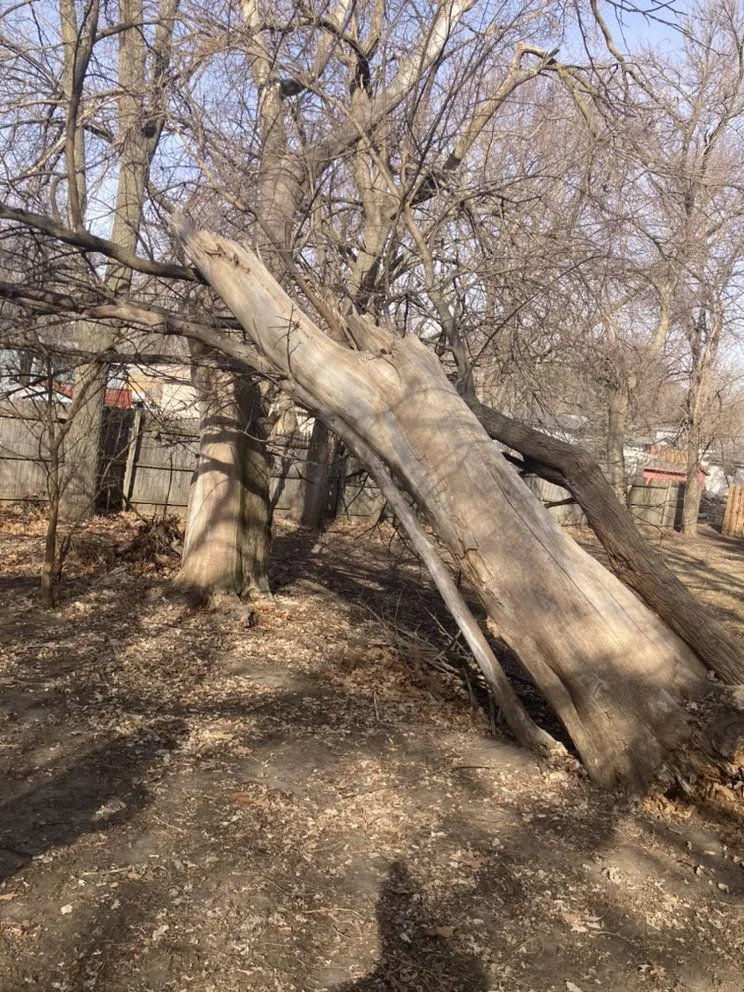 Affordable garden landscaping in Omaha, NE by All Around Brown