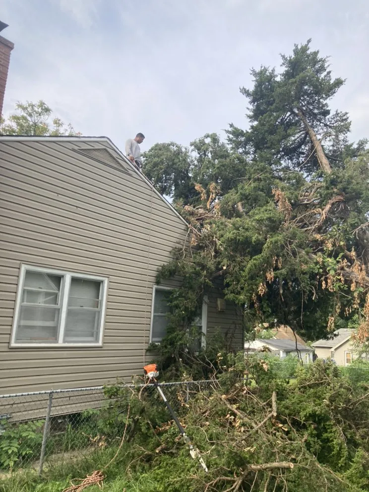 Affordable outdoor landscaping for beautiful yards in Omaha, NE by All Around Brown
