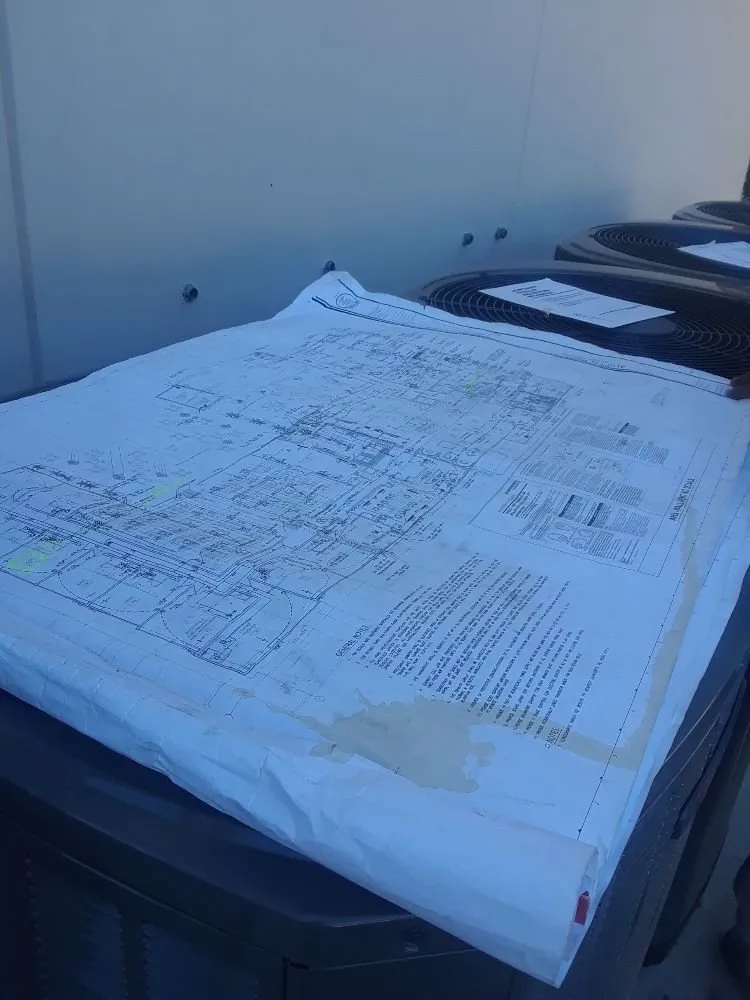 Reliable yard cleanup service in Hampton, GA - All Around Brown Services