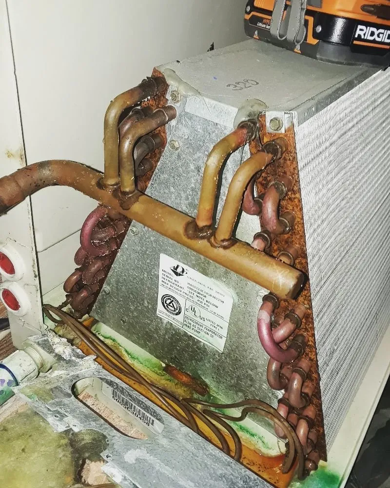 Local yard cleanup service experts serving Hampton, GA - All Around Brown Services