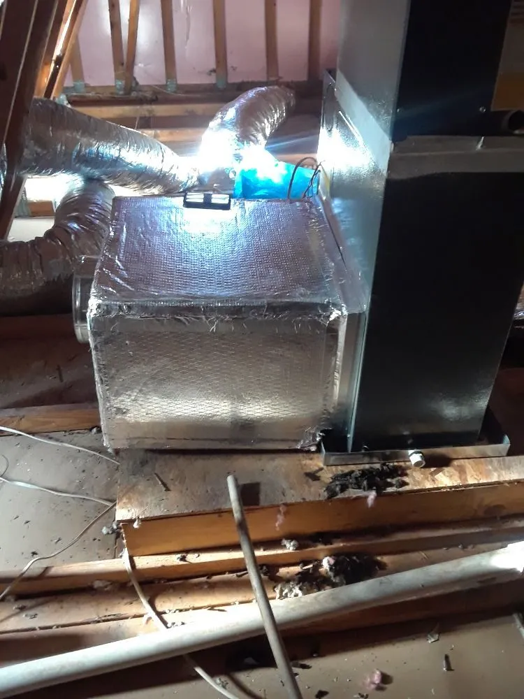 Top-rated landscape installation in Hampton, GA by All Around Brown Services