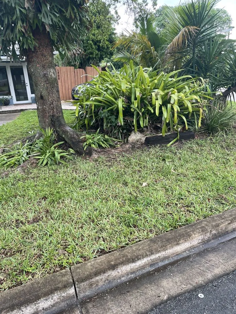 Local yard maintenance for year-round maintenance in Pompano Beach, FL by All around business