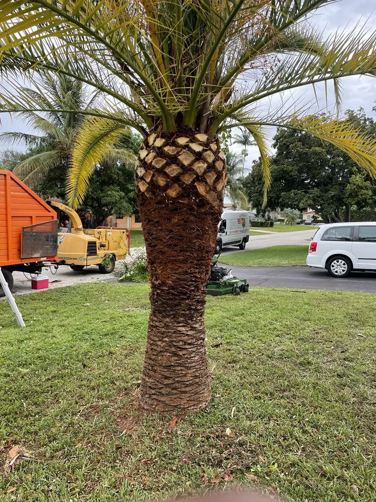 Trusted yard maintenance experts serving Pompano Beach, FL - All around business