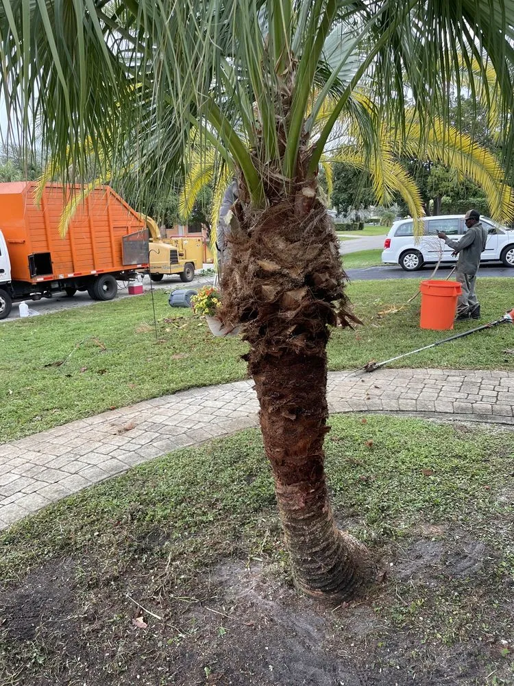 Local landscape installation in Pompano Beach, FL by All around business