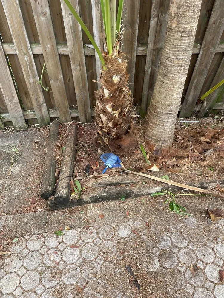 Top-rated landscape installation for beautiful yards in Pompano Beach, FL by All around business