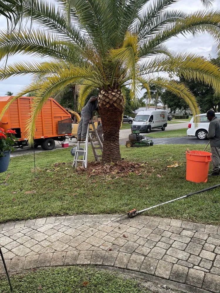 Local lawn mowing service experts serving Pompano Beach, FL - All around business