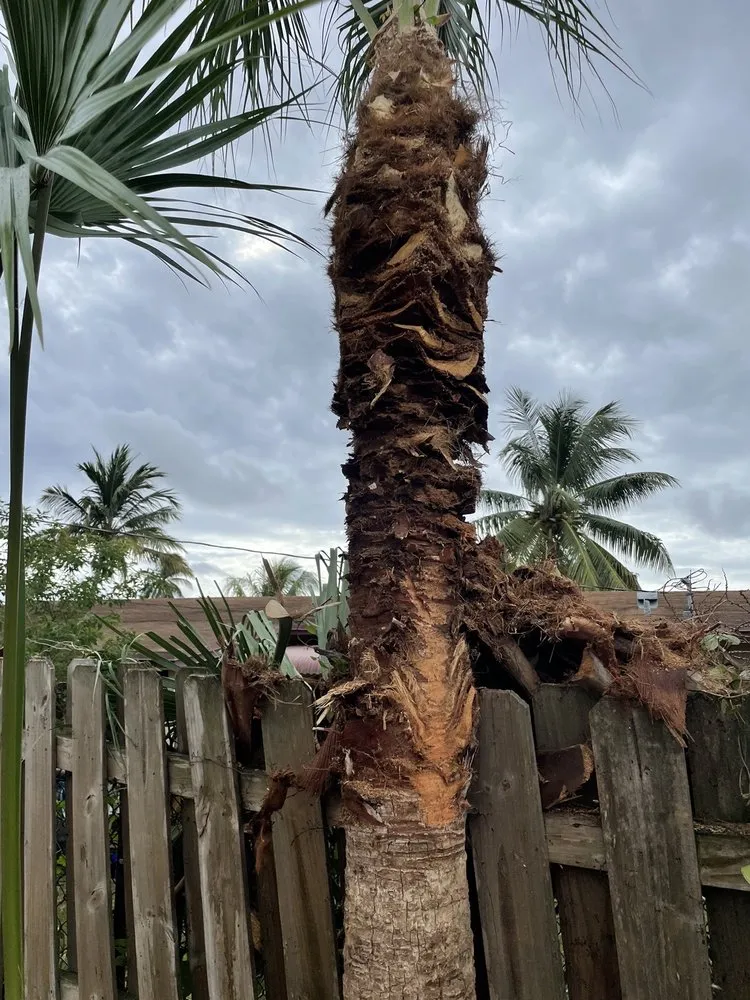 Professional residential landscaping experts serving Pompano Beach, FL - All around business