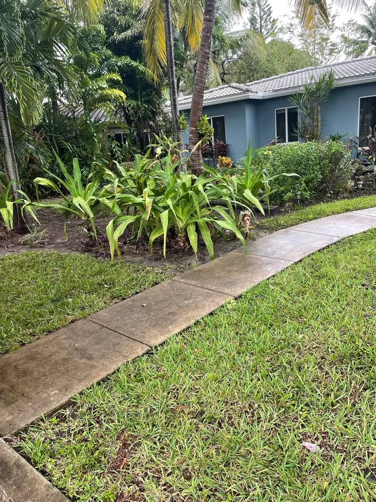 Local landscape design in Pompano Beach, FL - All around business