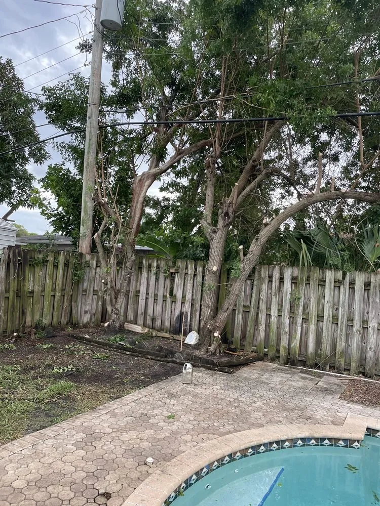 Affordable residential landscaping for outdoor upgrades across Pompano Beach, FL - All around business