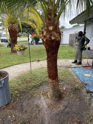 All around business Logo