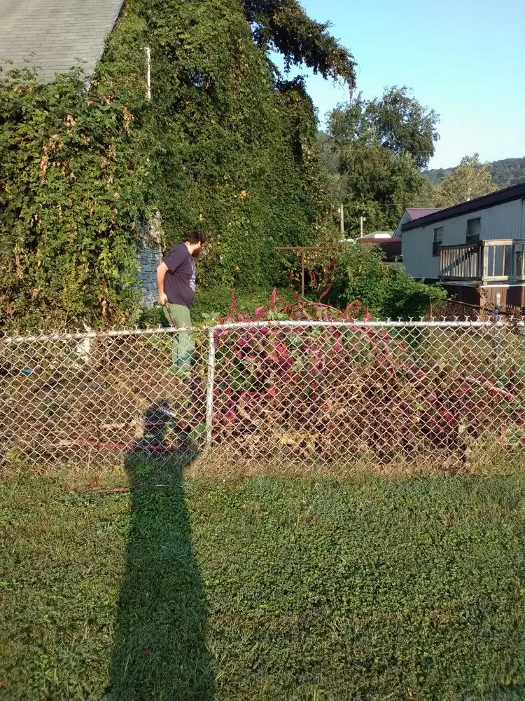 Trusted landscaping services in Frame, WV - All Around Construction & Landscaping