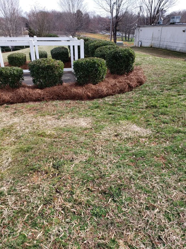 Affordable yard cleanup service for residential properties across Kannapolis, NC - All Around Cutz