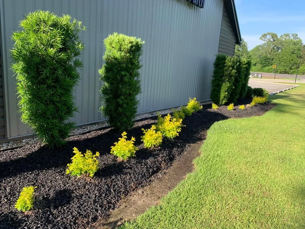 Professional landscape installation in Denham Springs, LA by All Around