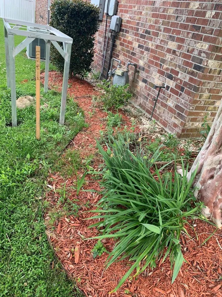 Expert landscape installation in Denham Springs, LA - All Around