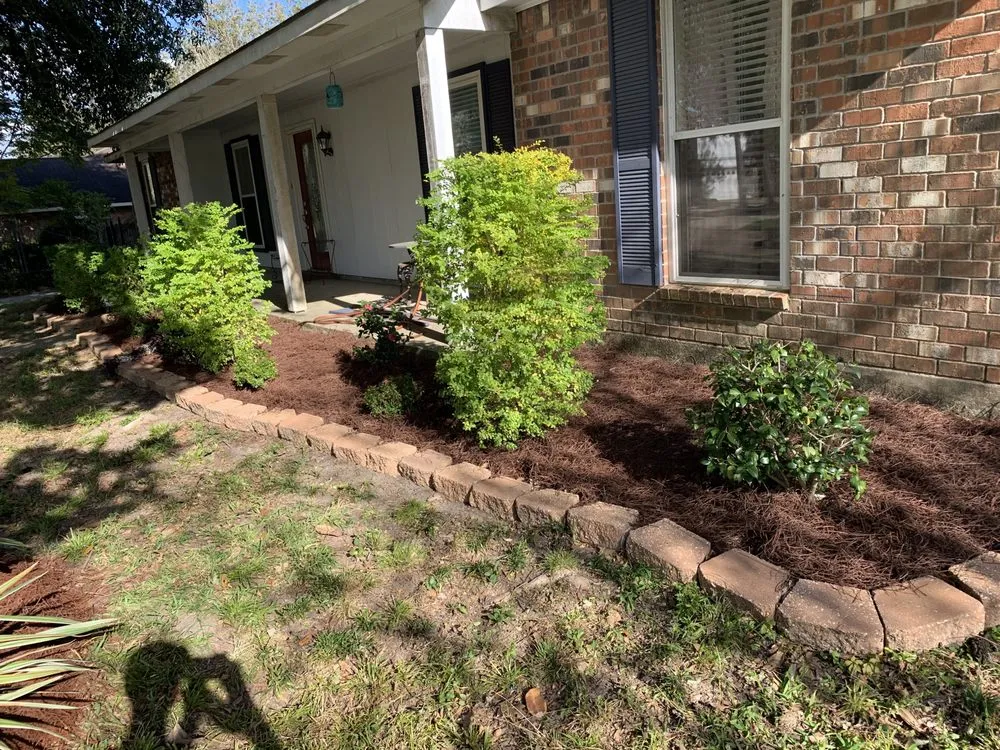 Local lawn care service near you in Denham Springs, LA by All Around