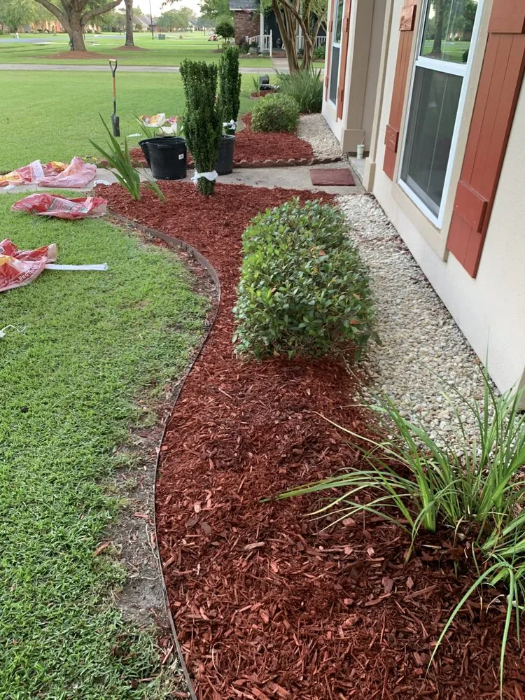 Affordable lawn care service experts serving Denham Springs, LA - All Around