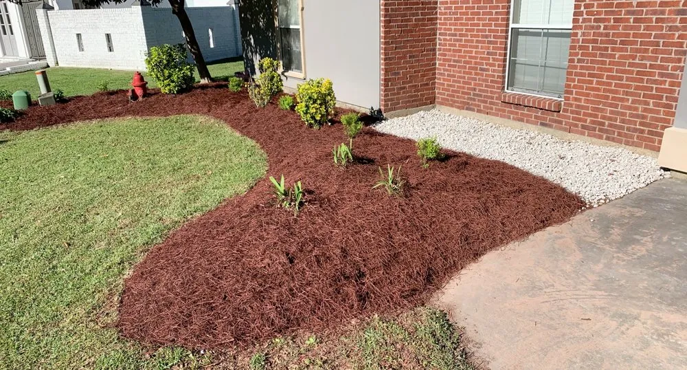 Top-rated outdoor landscaping for year-round maintenance in Denham Springs, LA by All Around
