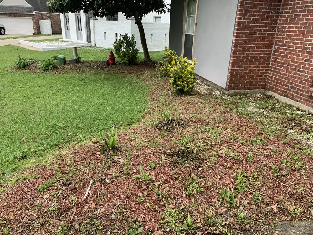 Affordable landscape installation near you in Denham Springs, LA by All Around