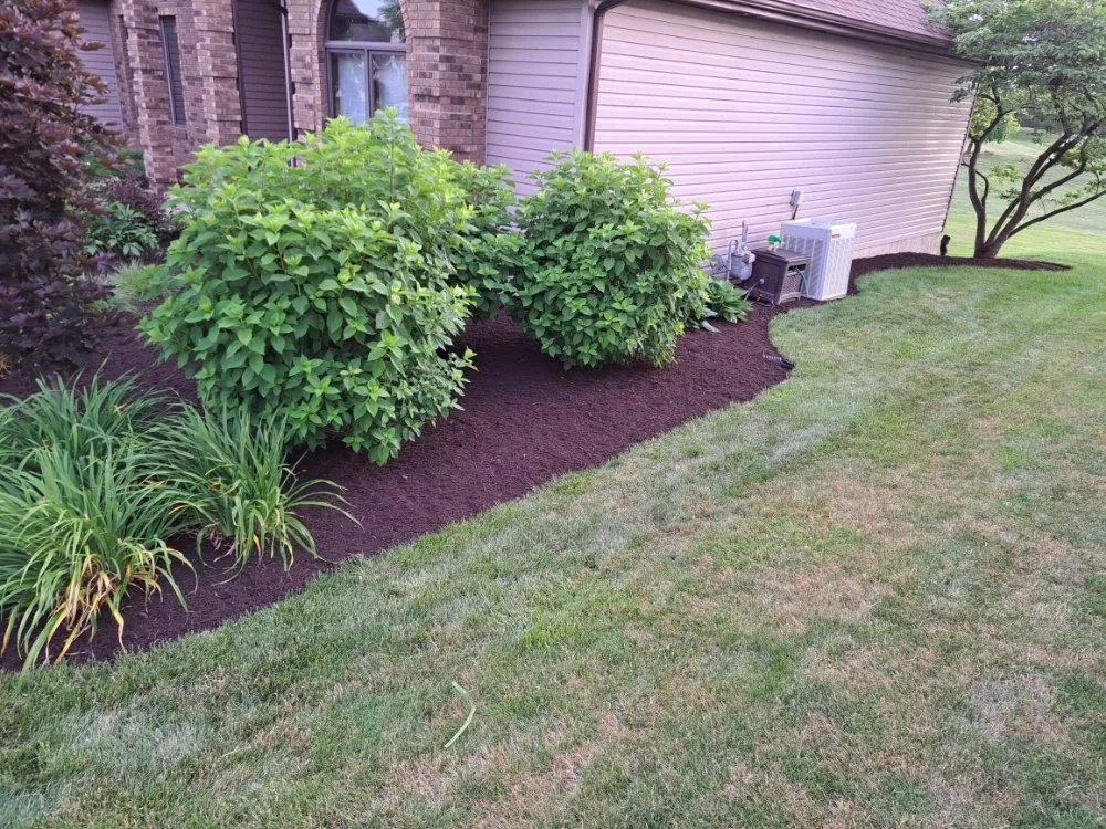 Affordable yard maintenance in Fort Wayne, IN - All Around Detailing Services