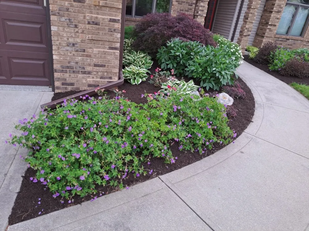 Professional outdoor landscaping in Fort Wayne, IN - All Around Detailing Services