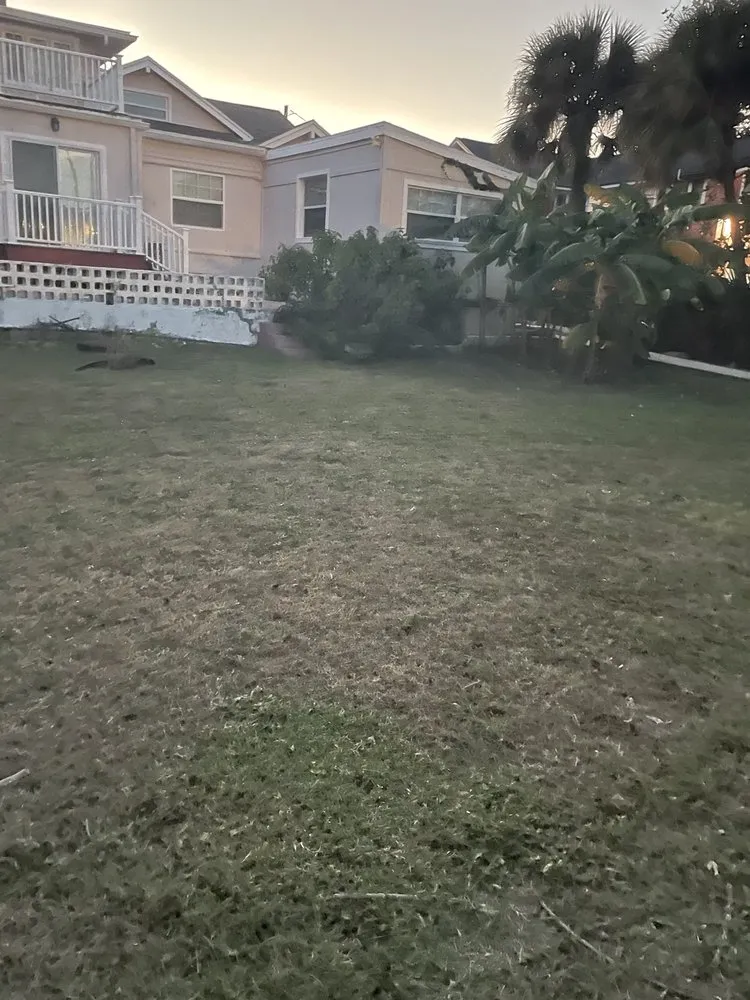 Professional lawn mowing service in Daytona Beach, FL by All Around Earth Care