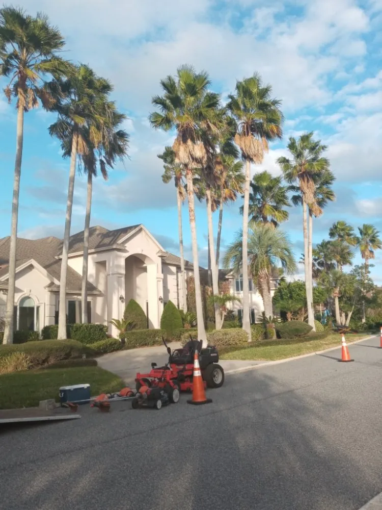 Expert landscape design experts serving Daytona Beach, FL - All Around Earth Care