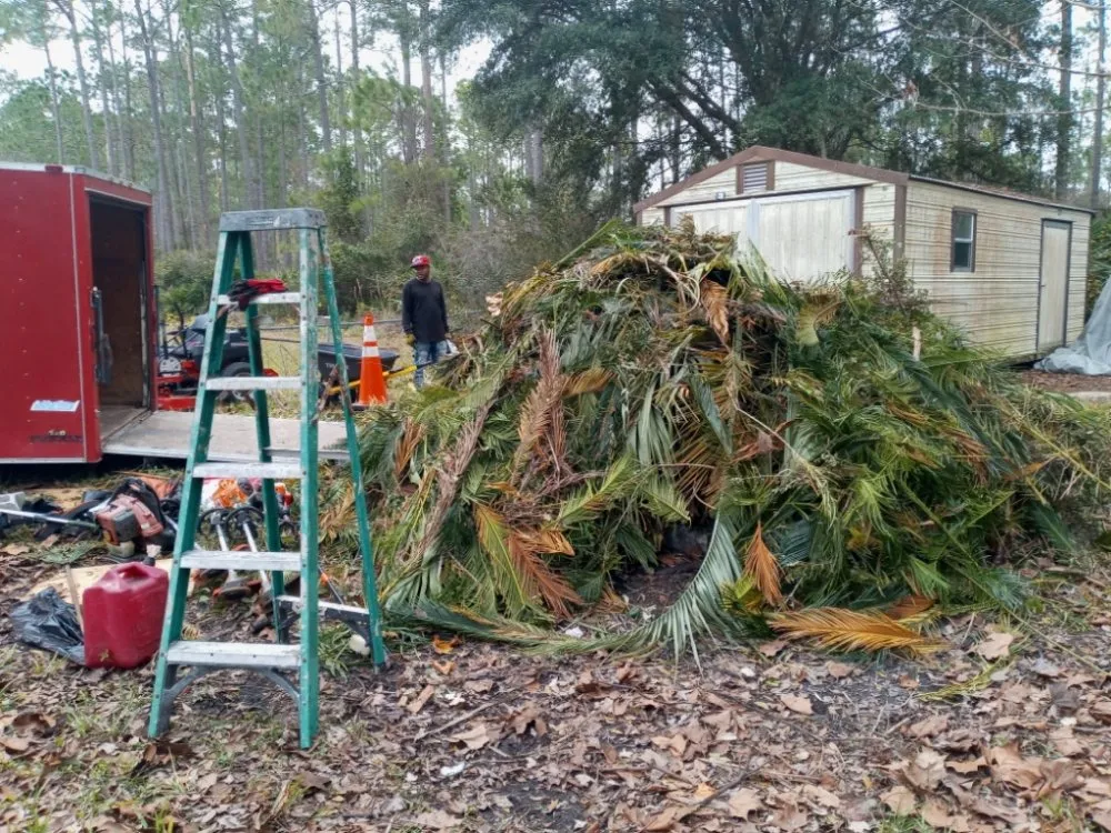 Top-rated lawn care service in Daytona Beach, FL - All Around Earth Care