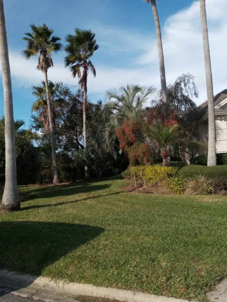 Custom landscaping services for residential properties across Daytona Beach, FL - All Around Earth Care