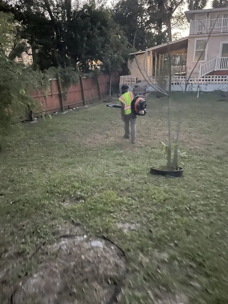 Trusted landscaping services for outdoor upgrades across Daytona Beach, FL - All Around Earth Care