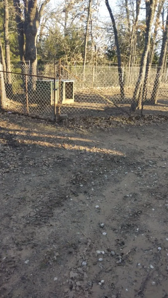 Local yard cleanup service in Dawson, TX by All Around Family Services