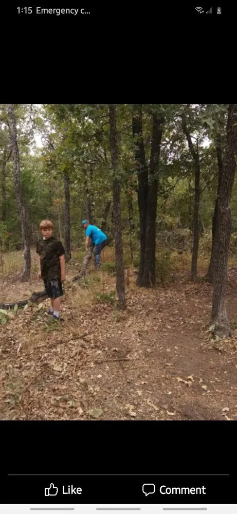 Expert yard cleanup service for residential properties across Dawson, TX - All Around Family Services