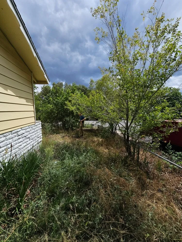 Affordable yard cleanup service for beautiful yards across Flagstaff, AZ - All Around Handyman