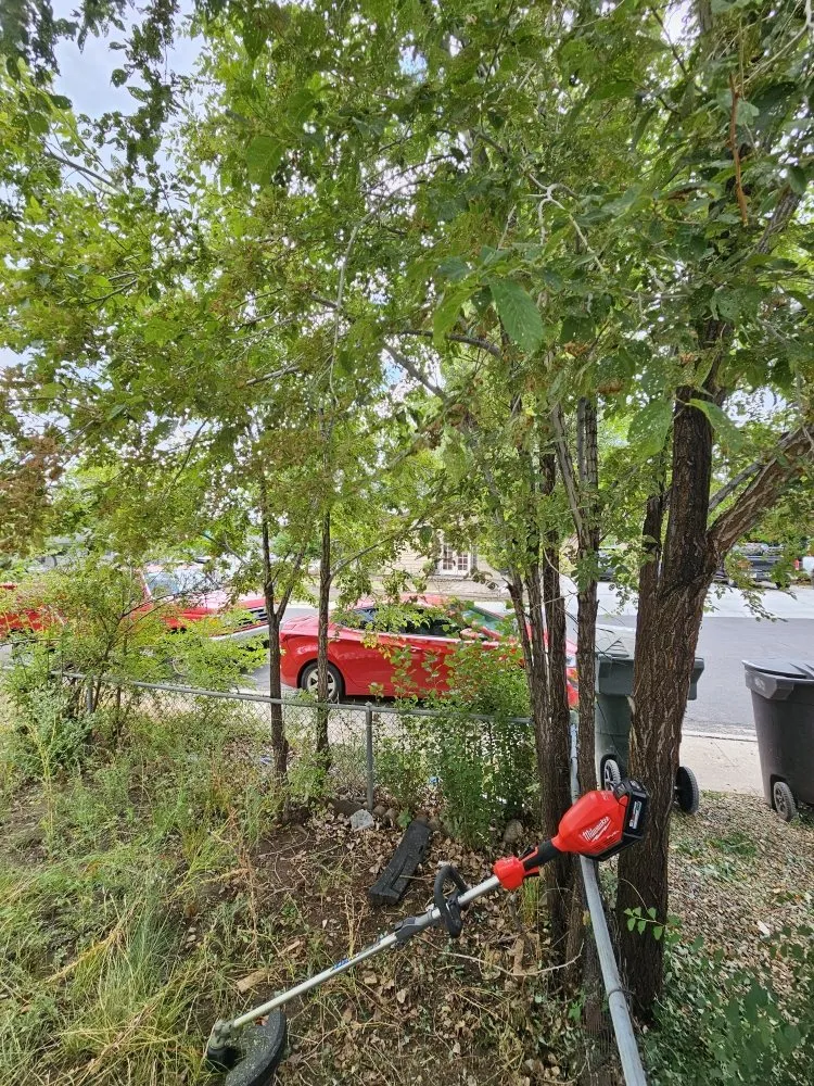 Custom landscaping services in Flagstaff, AZ - All Around Handyman