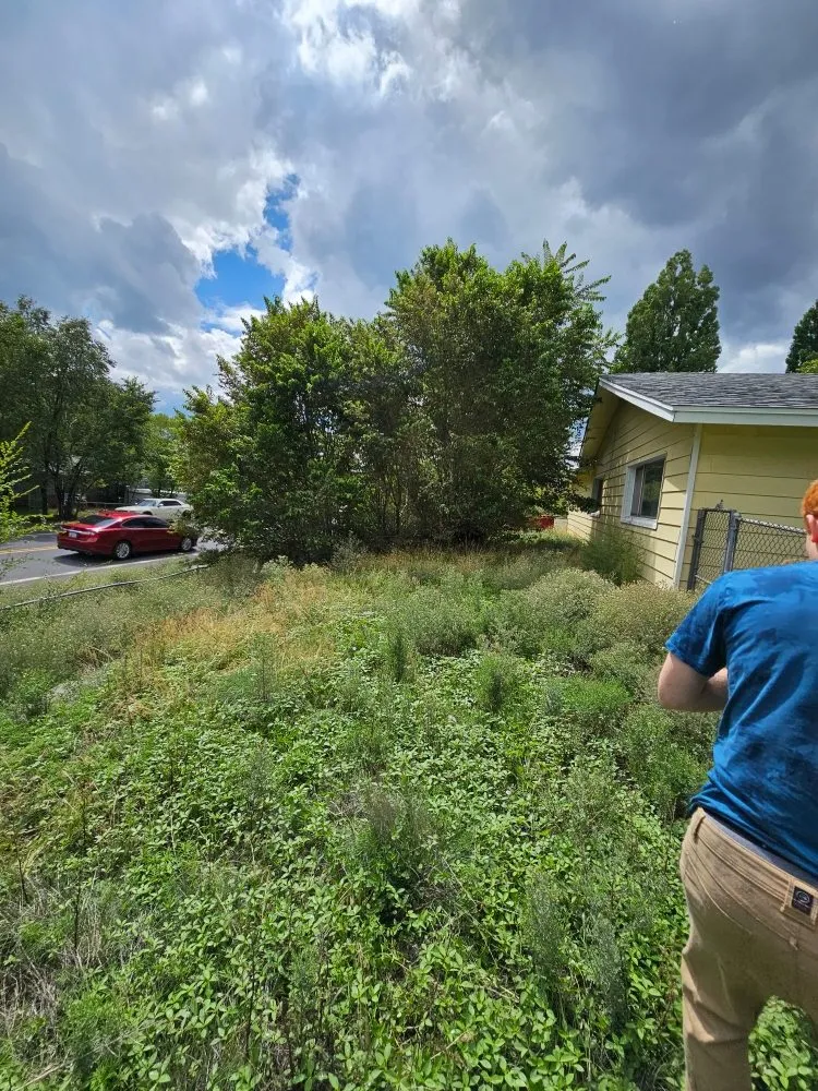 Expert yard maintenance in Flagstaff, AZ by All Around Handyman