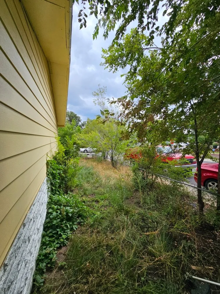 Reliable residential landscaping in Flagstaff, AZ - All Around Handyman