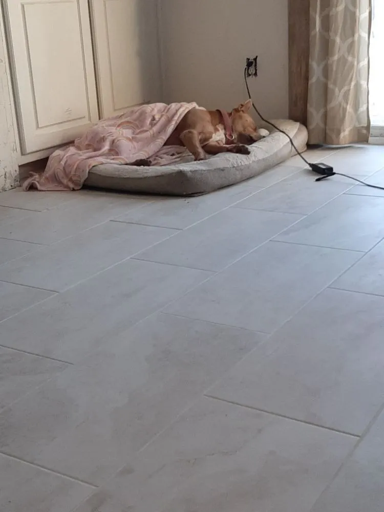 Local yard cleanup service experts serving Lockhart, TX - All Around Handyman Services