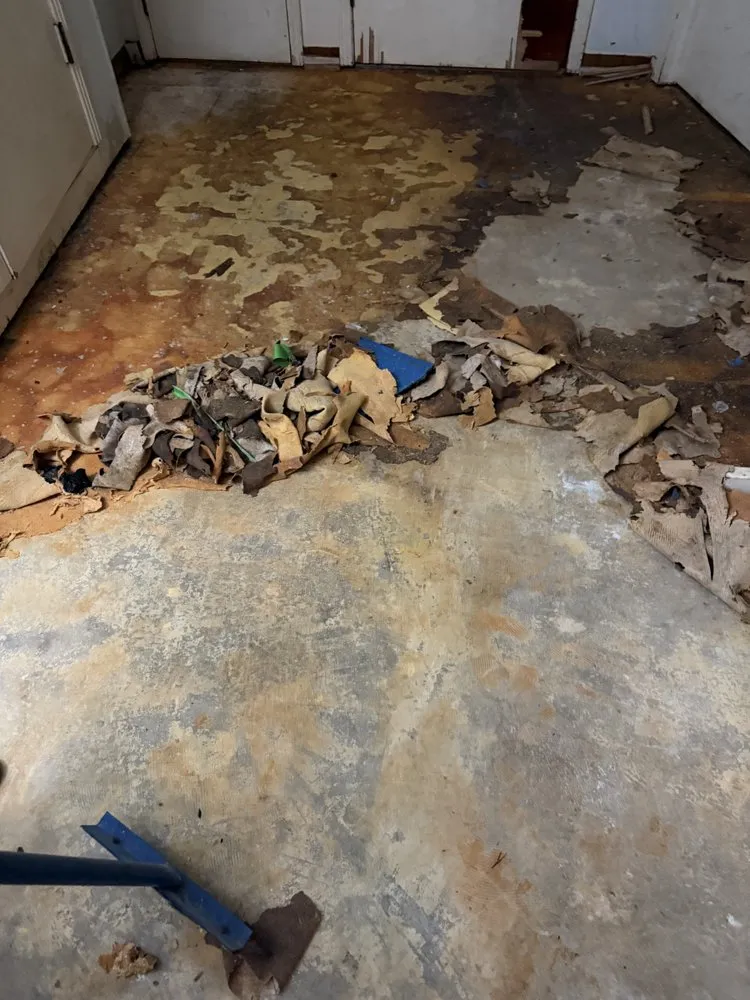 Professional lawn care service in Meridian, MS - All Around Handyman Services