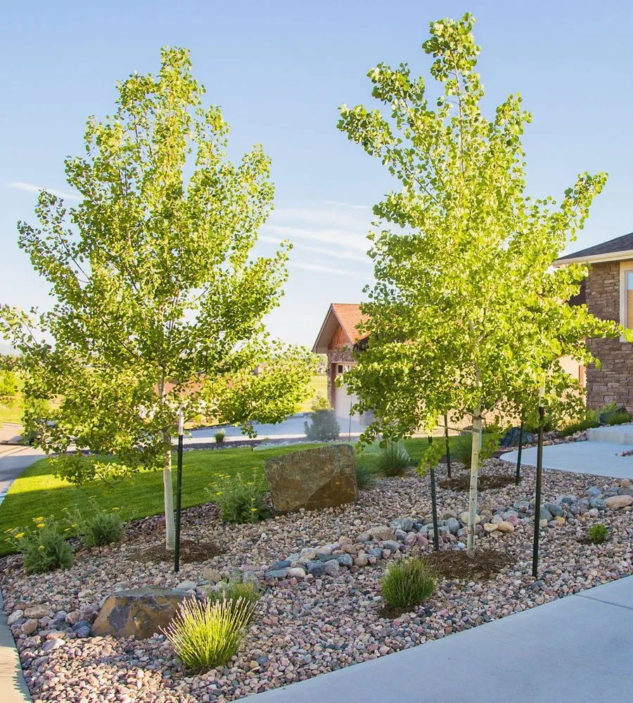 Professional landscape installation experts serving Lake City, FL - All Around Labor Works