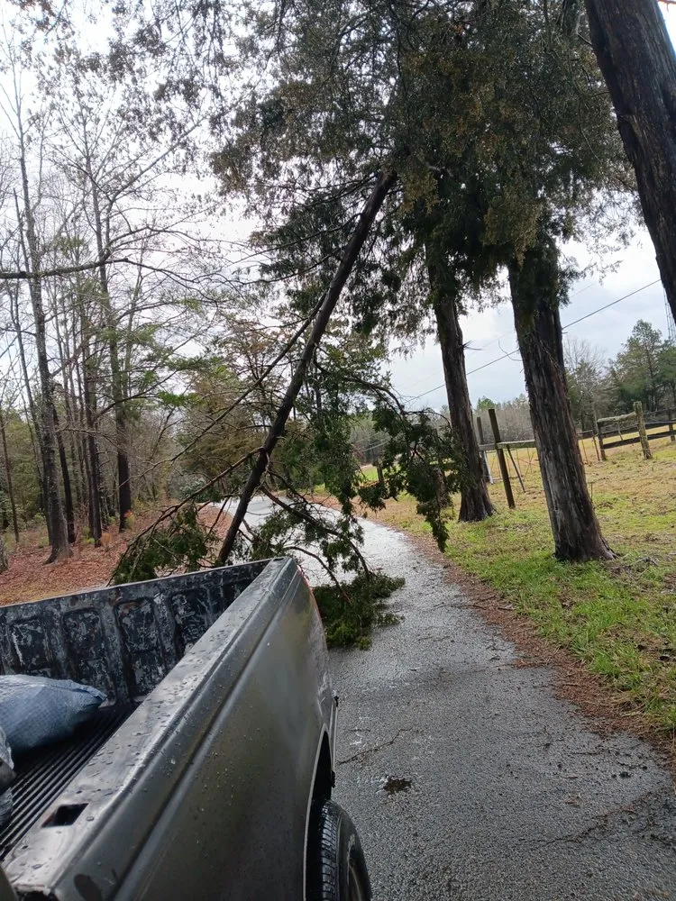 Custom outdoor landscaping in Lancaster, SC - All around