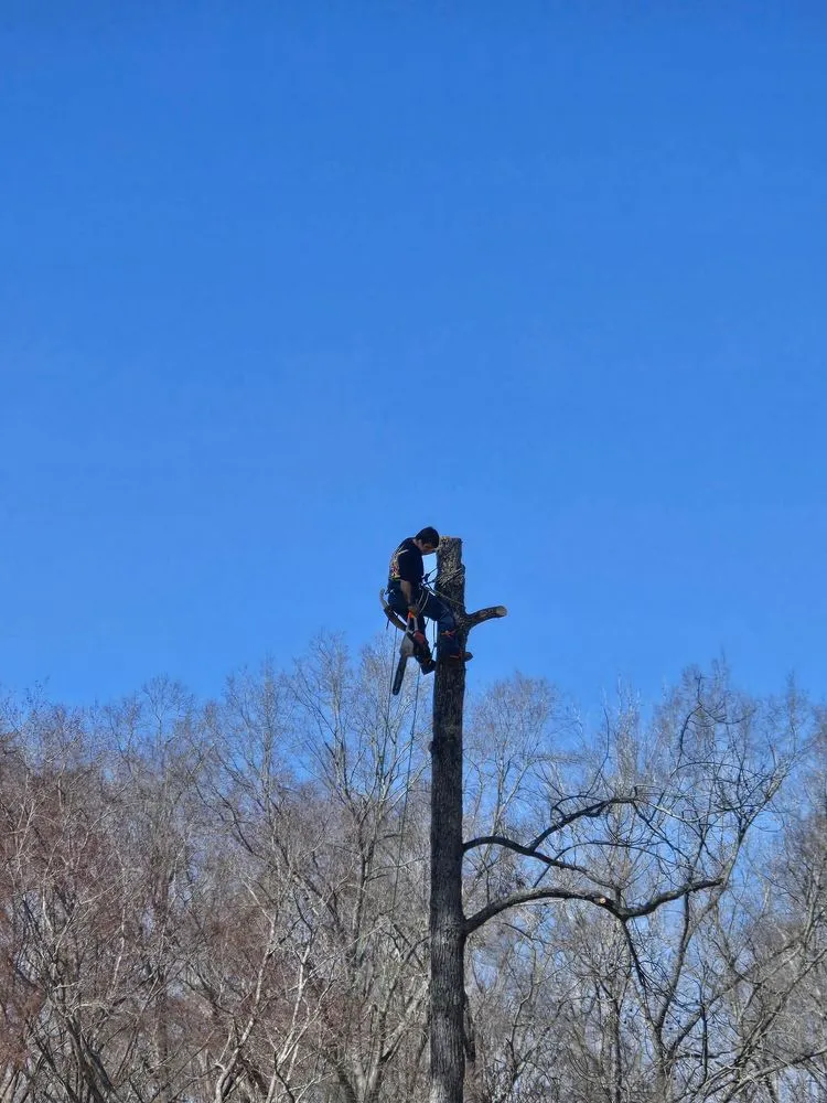 Top-rated garden landscaping with custom design in Lancaster, SC by All around