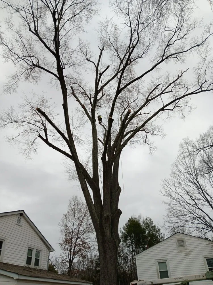 Top-rated lawn mowing service in Lancaster, SC - All around