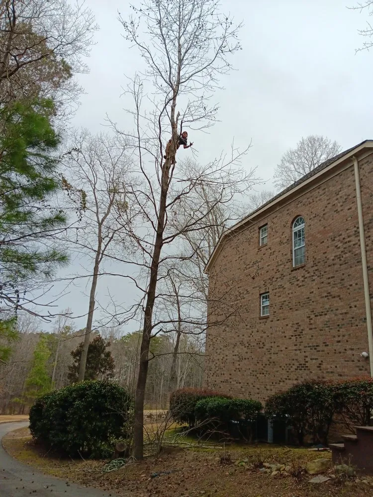 Top-rated outdoor landscaping in Lancaster, SC - All around