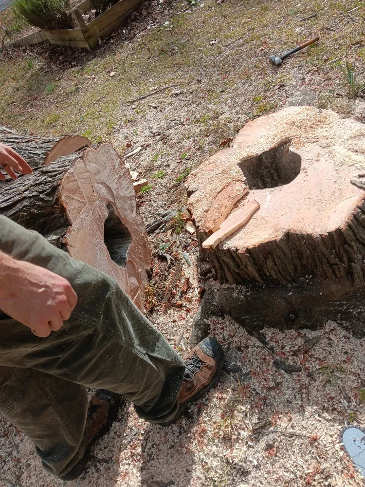 Expert yard cleanup service experts serving Lancaster, SC - All around