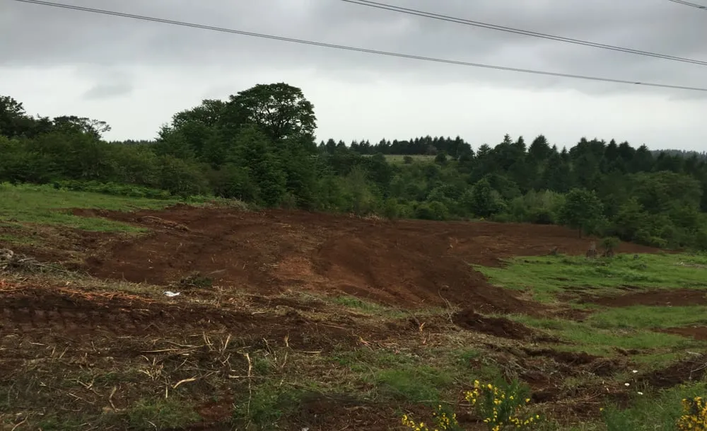 Trusted lawn mowing service experts serving Ridgefield, WA - All Around Land Clearing